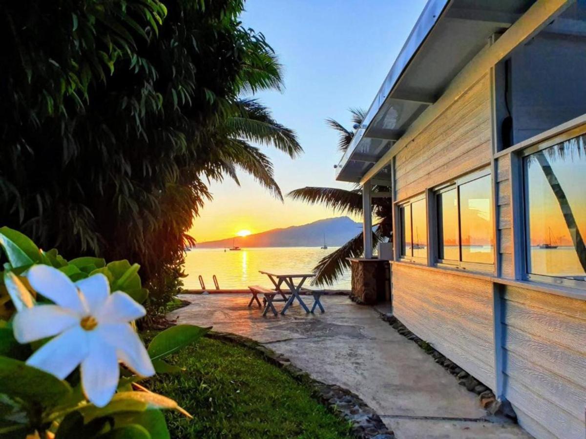 Moorea - Bungalow Chez Papou Afareaitu 外观 照片