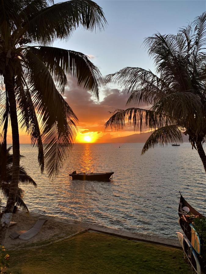 Moorea - Bungalow Chez Papou Afareaitu 外观 照片